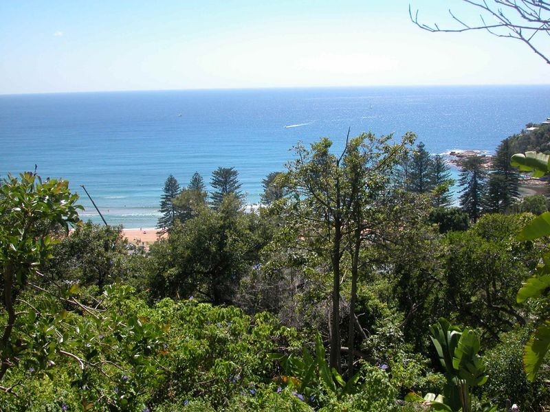 113 Pacific Road, Palm Beach NSW 2108