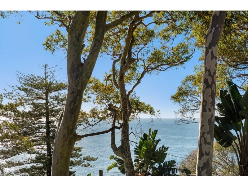 108 Whale Beach Road, Whale Beach NSW 2107