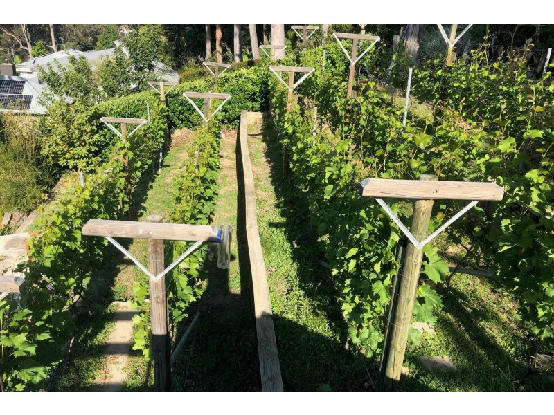153 Hudson Parade, Avalon Beach NSW 2107