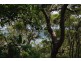 52 Bynya Road, Palm Beach NSW 2108