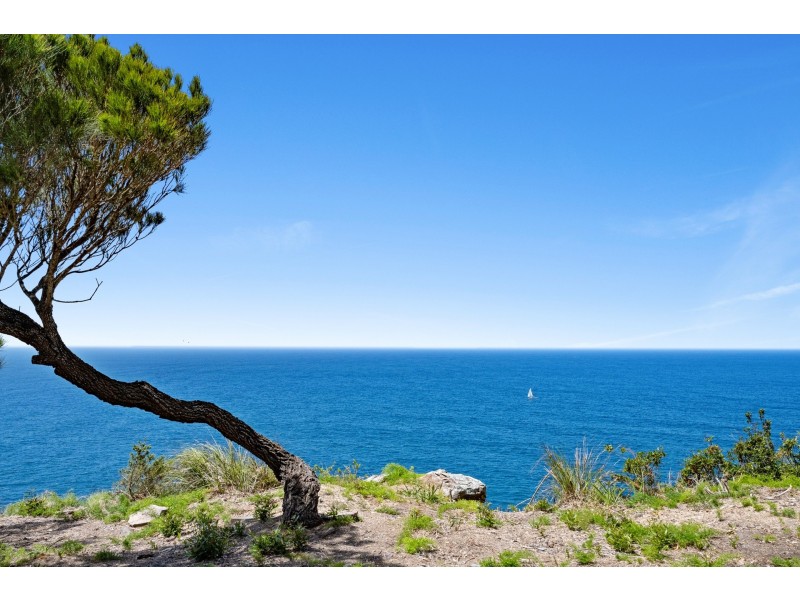 105 Whale Beach Road, Whale Beach NSW 2107