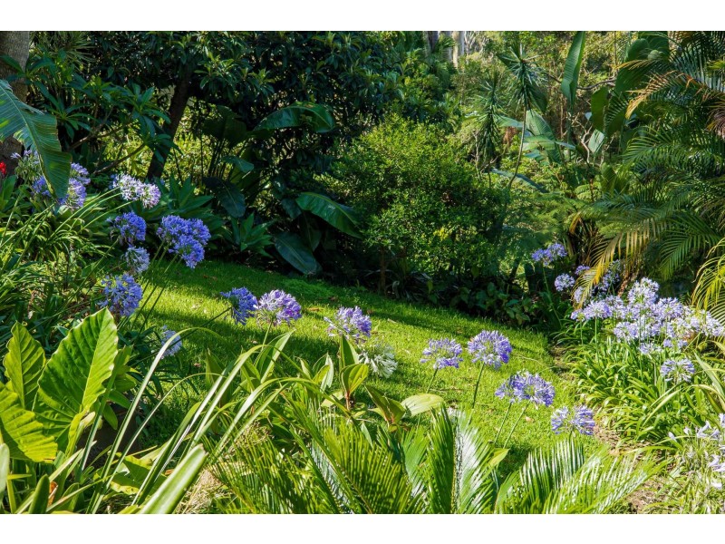 105 Riverview Road, Avalon Beach NSW 2107