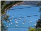 Whale Beach NSW 2107