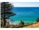 173 Whale Beach Road, Whale Beach NSW 2107