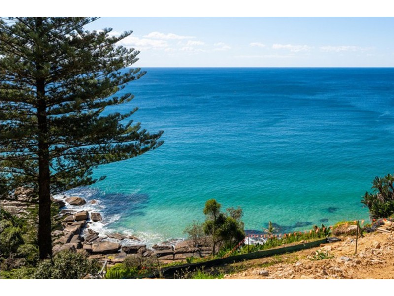 173 Whale Beach Road, Whale Beach NSW 2107