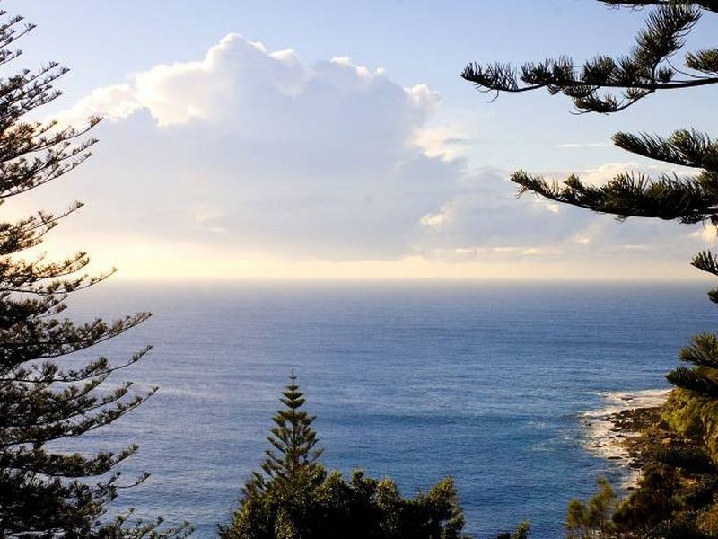 Whale Beach NSW 2107