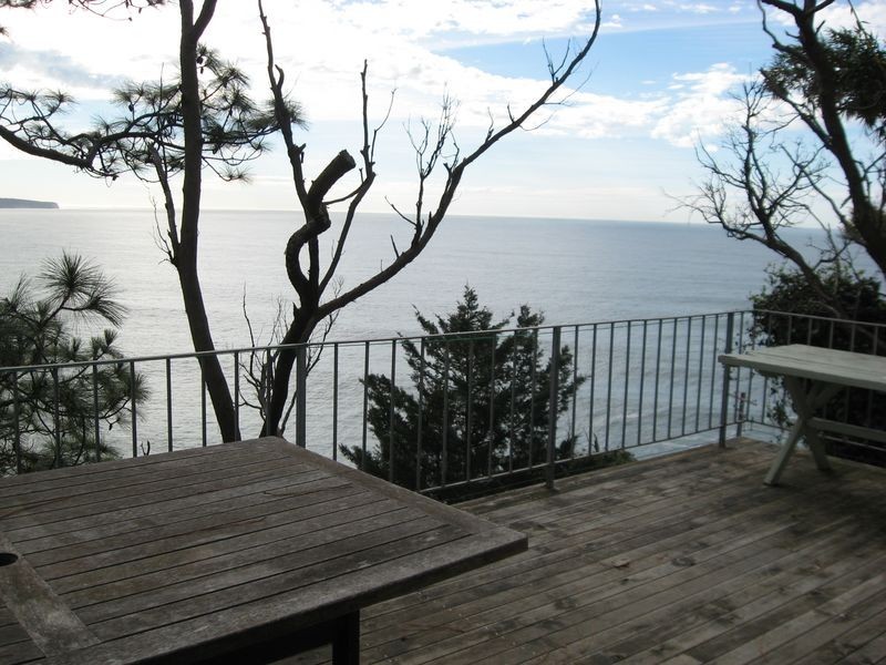 338 Whale Beach Road, Whale Beach NSW 2107