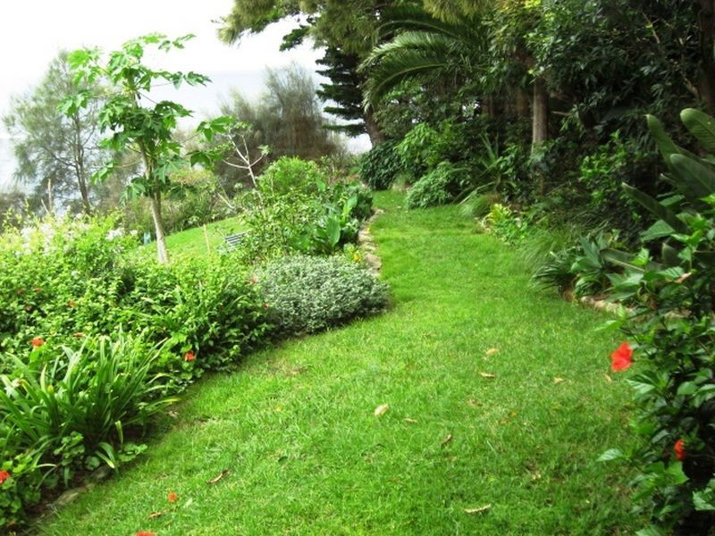 55 Bungan Head Road, Newport Beach NSW 2106