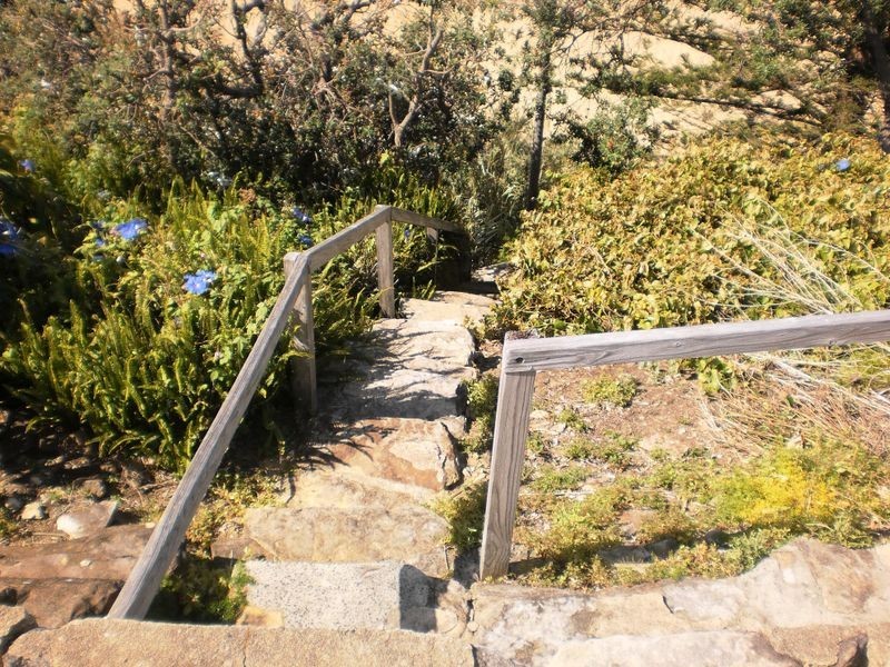 269 Whale Beach Road, Whale Beach NSW 2107