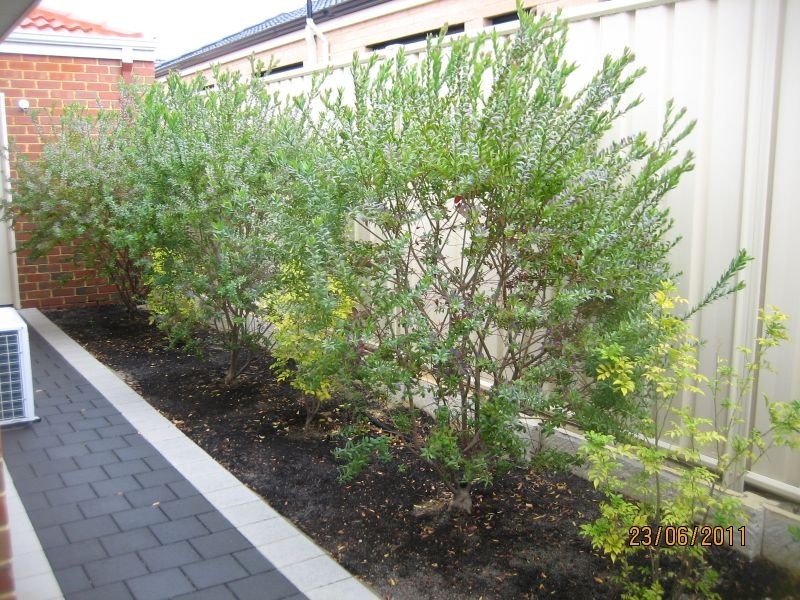 17/39 Barfield Road, Hammond Park WA 6164