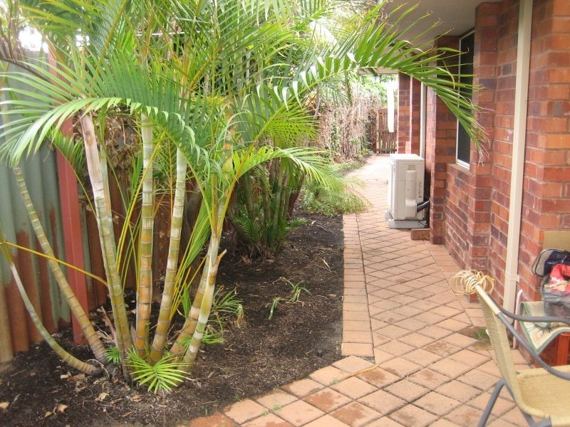 17 Stoddart Way, Bateman WA 6150