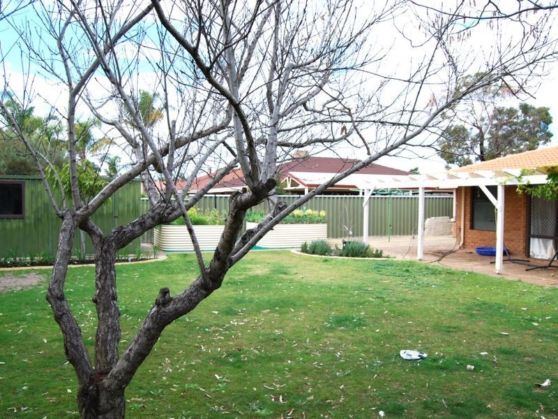 15 San Miguel Drive, Leeming WA 6149