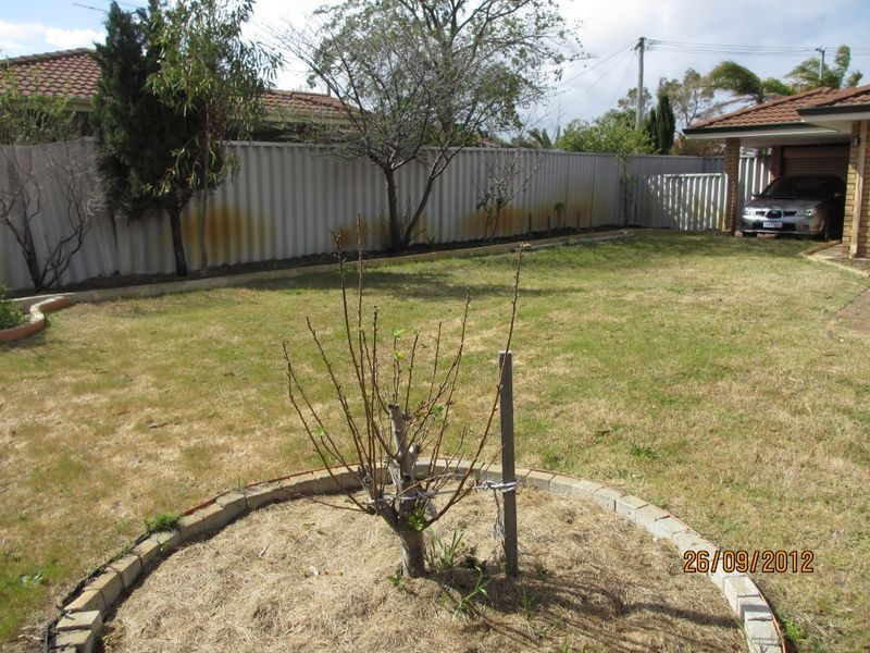 21 Nagambie Close, South Lake WA 6164
