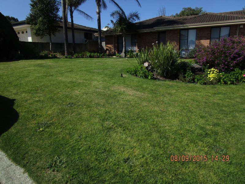 8 Gilchrist Avenue, Bibra Lake WA 6163