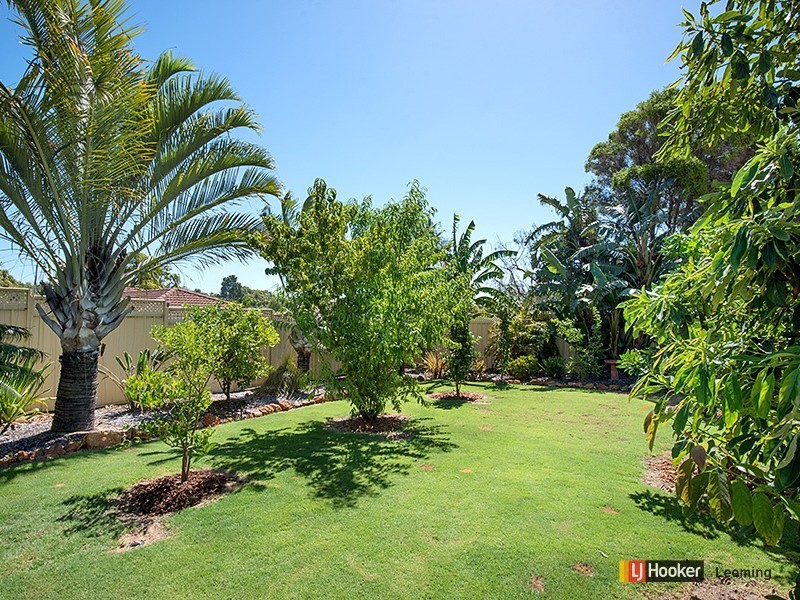 55 Cervantes Loop, Yangebup WA 6164