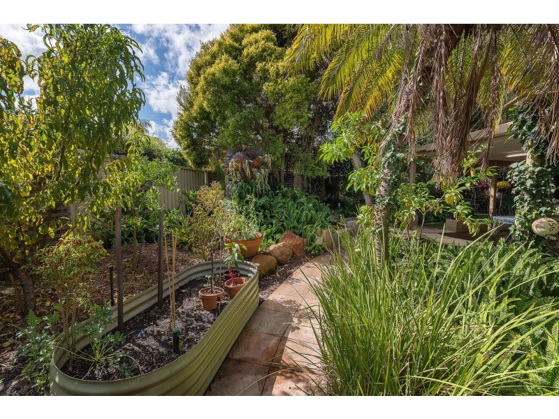 17 Earnshaw Loop, Leeming WA 6149