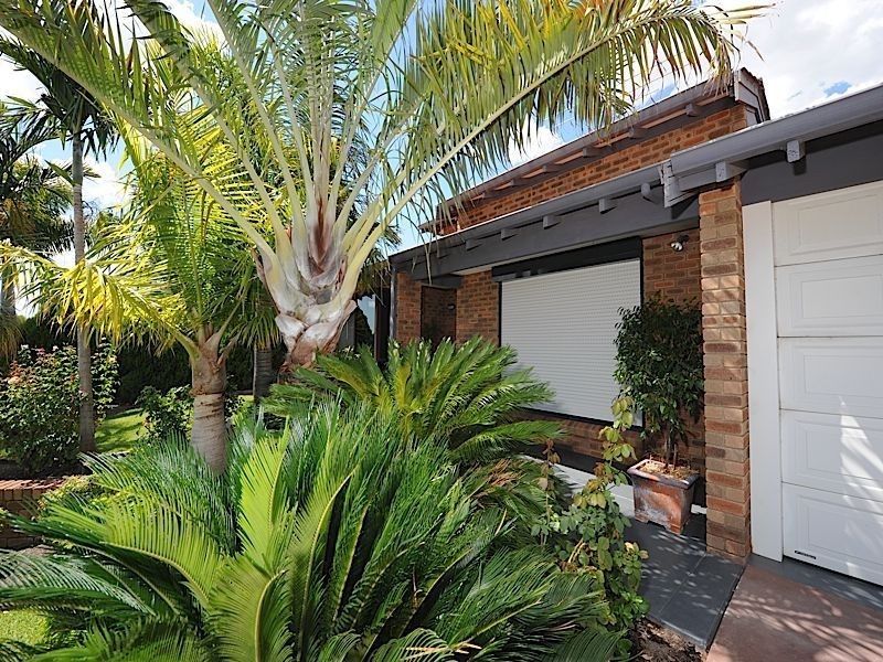 56 Calley Drive, Leeming WA 6149