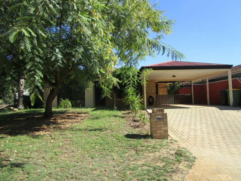 16 Senecio Lane, Beeliar WA 6164