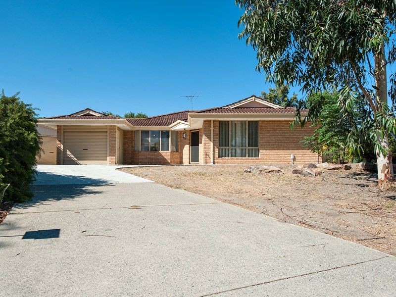 16 Bulrush Drive, Bibra Lake WA 6163