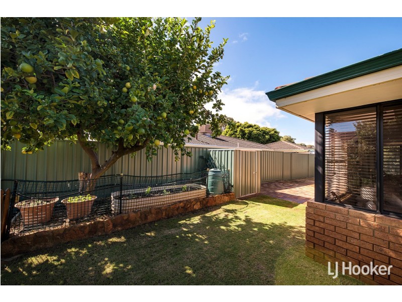 31 Calley Drive, Leeming WA 6149