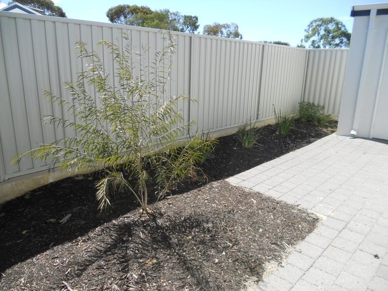 23 Ferguson Street, Falcon WA 6210