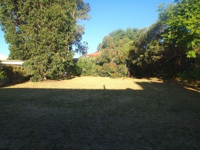 20 Packham Road, Hamilton Hill WA 6163