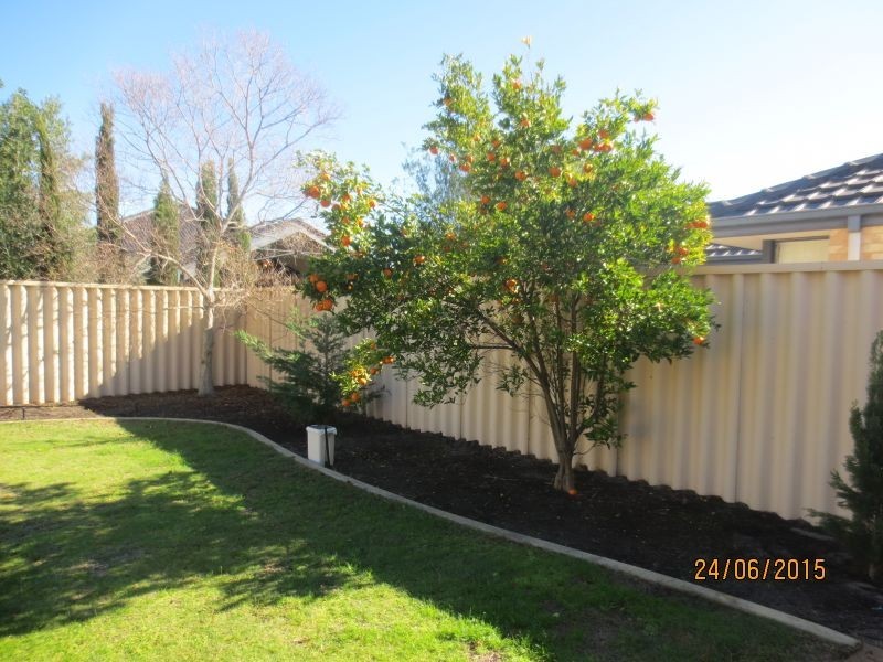 9 Windchime Terrace, Atwell WA 6164