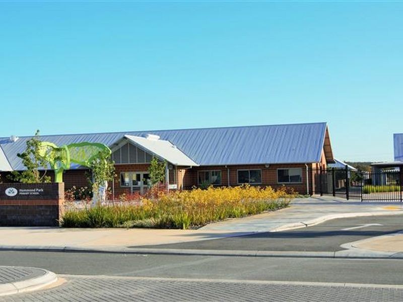 39 Serventy Crescent, Hammond Park WA 6164