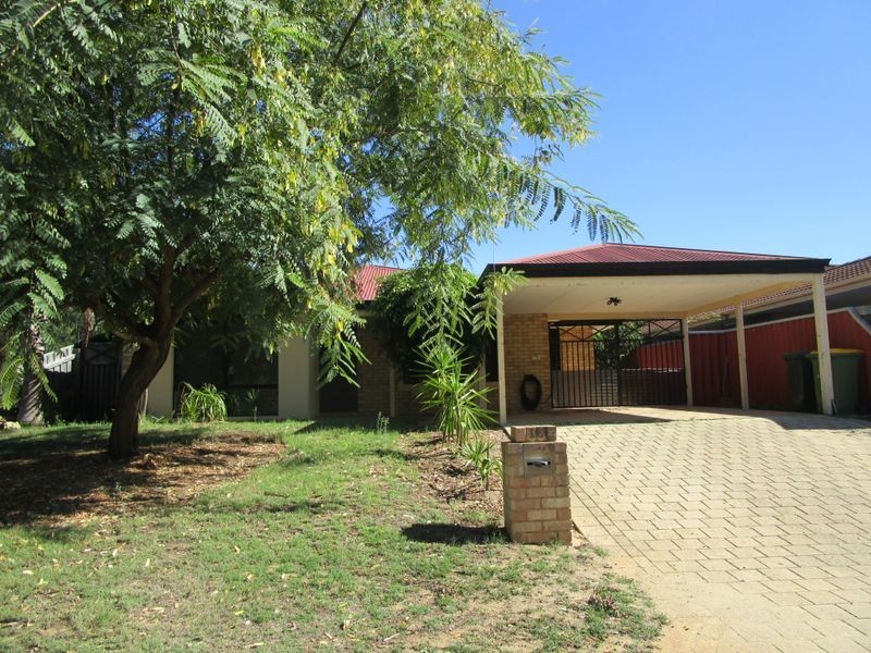 16 Senecio Lane, Beeliar WA 6164