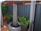 6 Trailridge Turn, Leeming WA 6149
