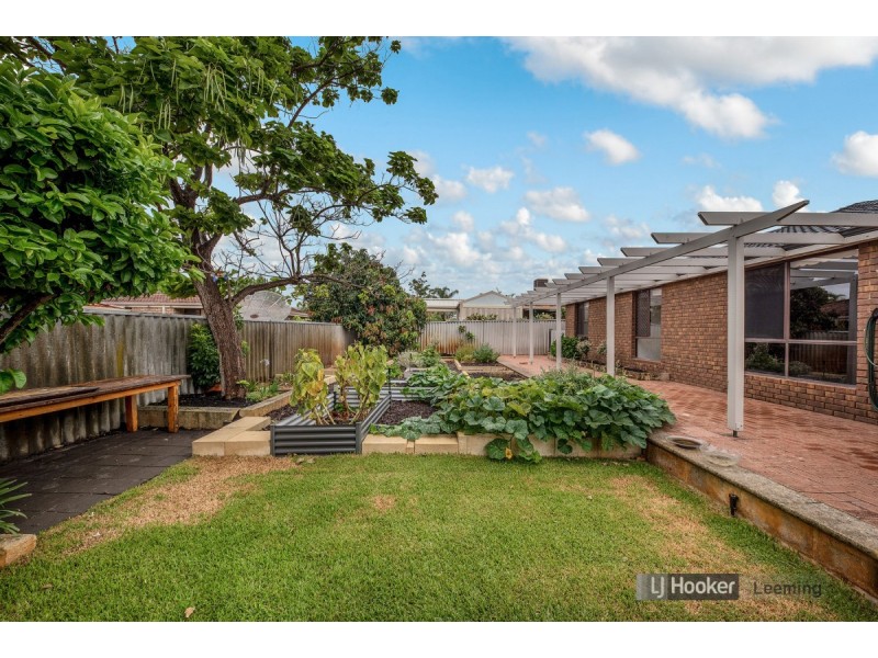 23 Anscombe Loop, Leeming WA 6149