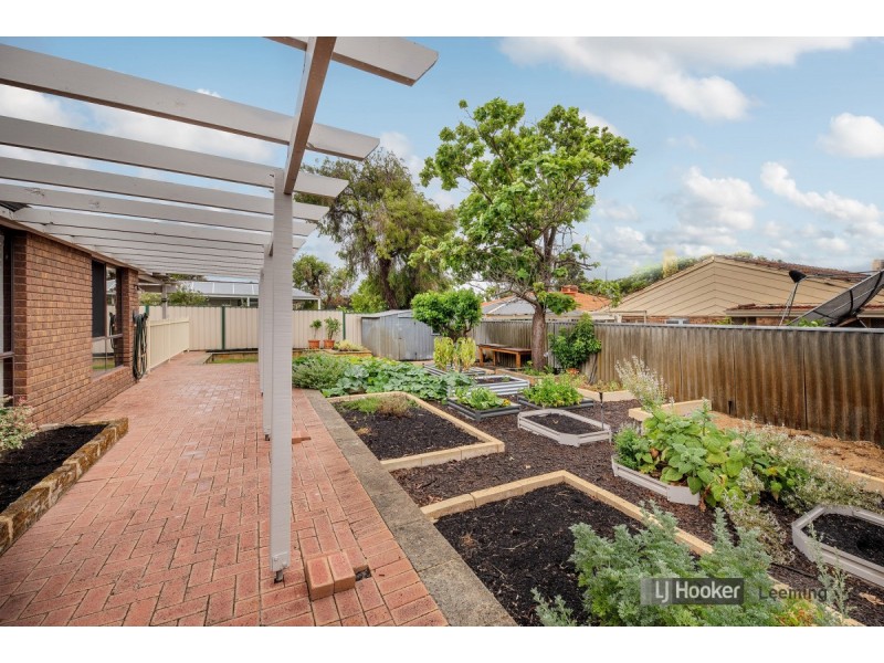 23 Anscombe Loop, Leeming WA 6149