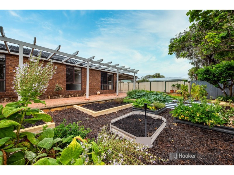 23 Anscombe Loop, Leeming WA 6149