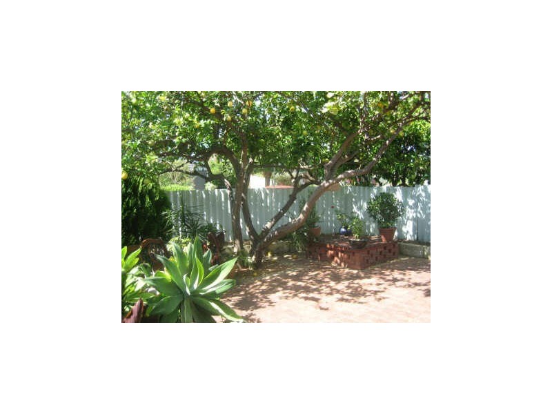 20 Iandra Loop, Willetton WA 6155