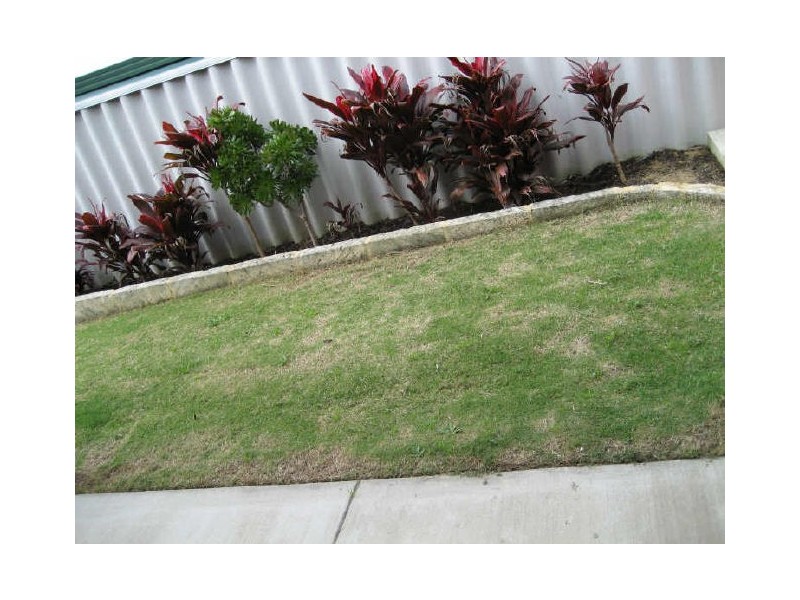 11 Hibbertia Close, Beeliar WA 6164