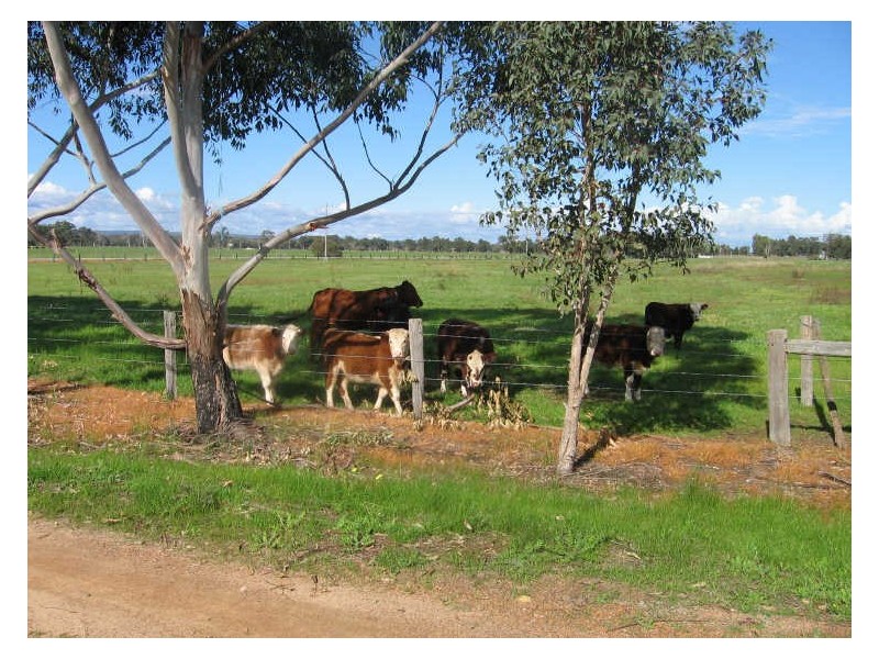 446 Hopeland Road, Hopeland WA 6125