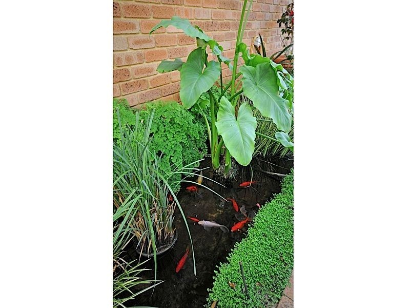 46 Winchester Way, Leeming WA 6149