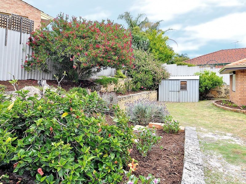 22 Shelton Loop, Leeming WA 6149