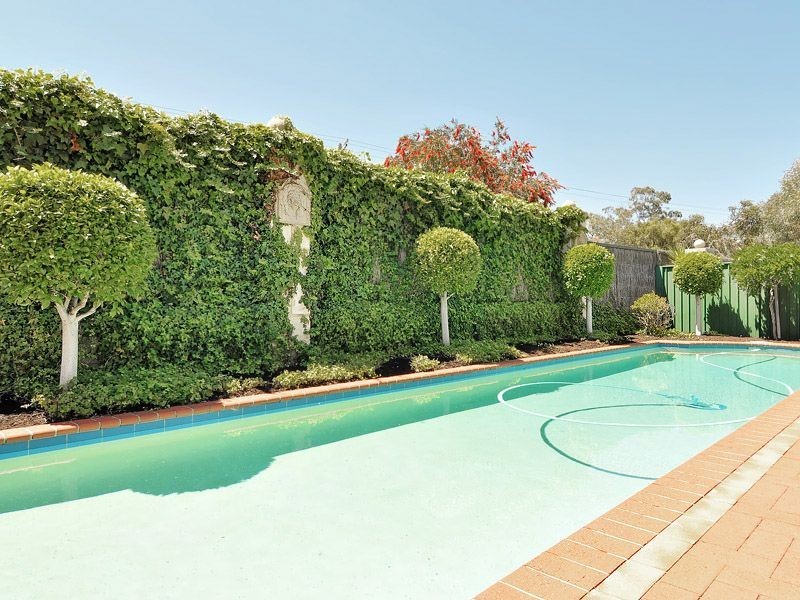 61 Glen Iris Drive, Jandakot WA 6164