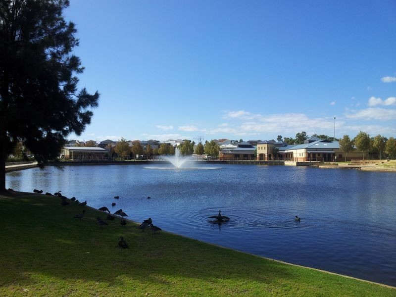 9 Mannikin Heights, Beeliar WA 6164