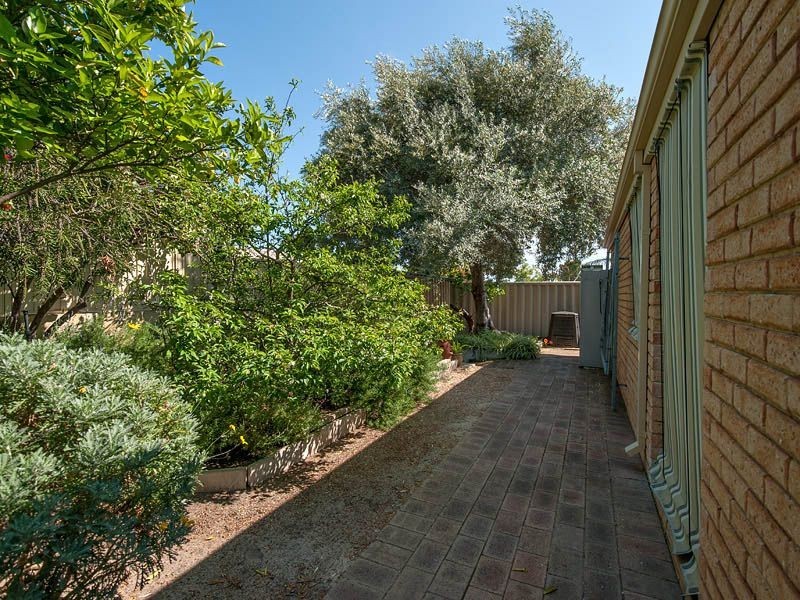 59 Calley Drive, Leeming WA 6149