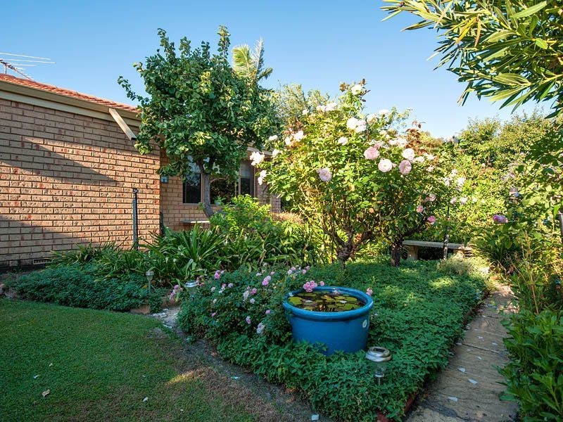 8 Nigel Court, Leeming WA 6149