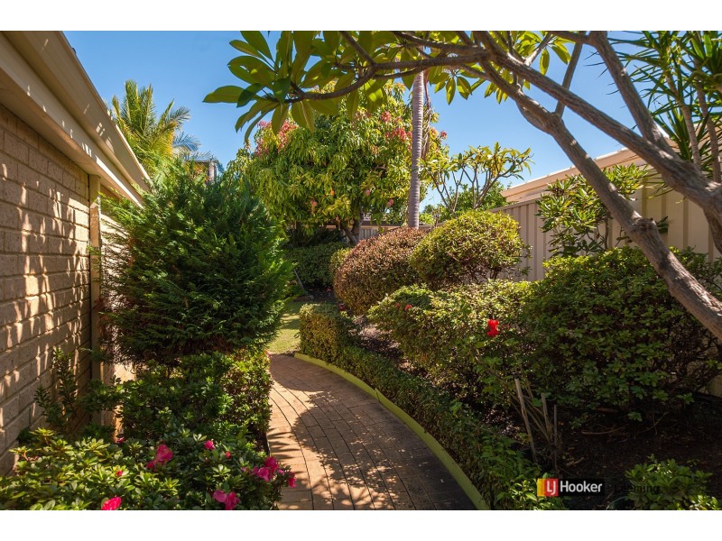 53 Bainton Road, Leeming WA 6149