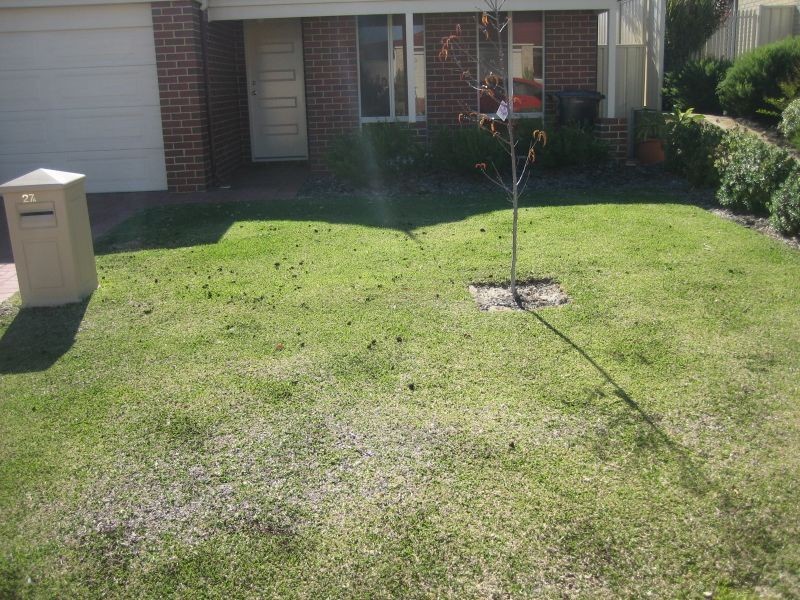 27A Leicester Crescent, Canning Vale WA 6155