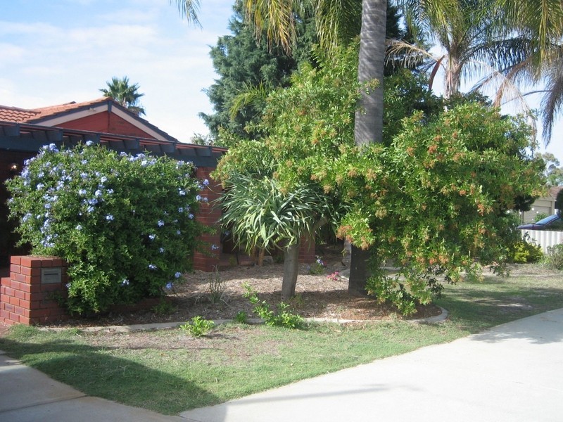 20 Portcullis Drive, Willetton WA 6155