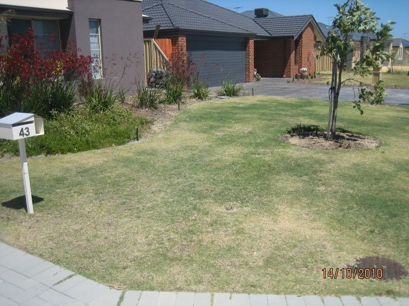 43 Pomera Drive, Darling Downs WA 6122