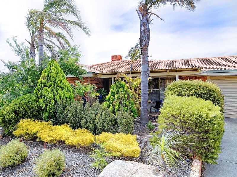 5 Torenia Way, Yangebup WA 6164