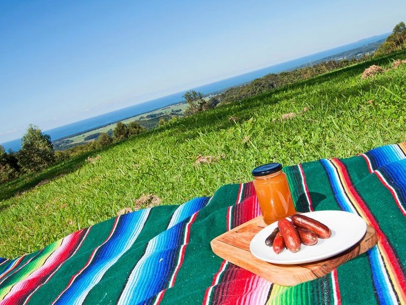 310 Cudgera Creek Road, Billinudgel NSW 2483