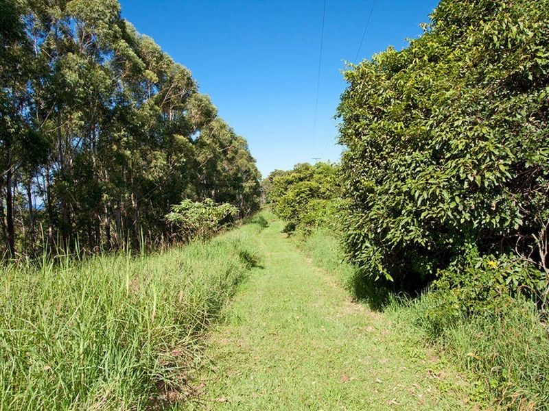 310 Cudgera Creek Road, Billinudgel NSW 2483