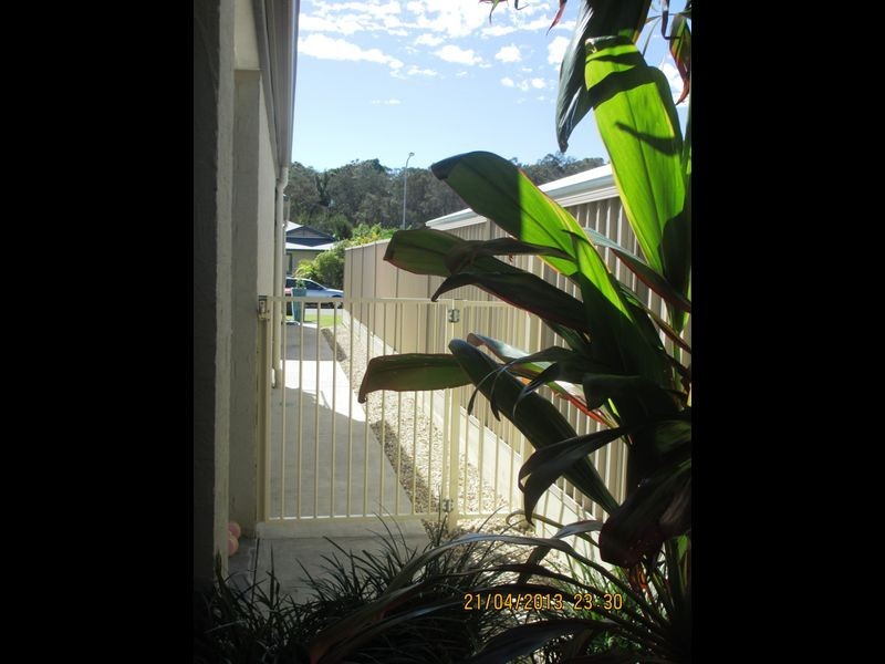 15 Grey Gum Street, Pottsville NSW 2489